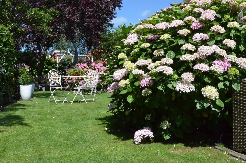 Bloemenhoeve Bed and Breakfast Birdaard Exterior foto